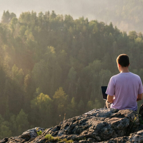 цифровой номад, цифровой кочевник, удаленщик в России • МойОпрос